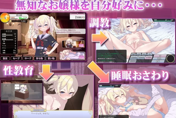 图片[2]-【SLG/AI汉化/PC】 懵懂无知的大小姐 このお嬢様、無知につき [PC+1.1g]-咔游